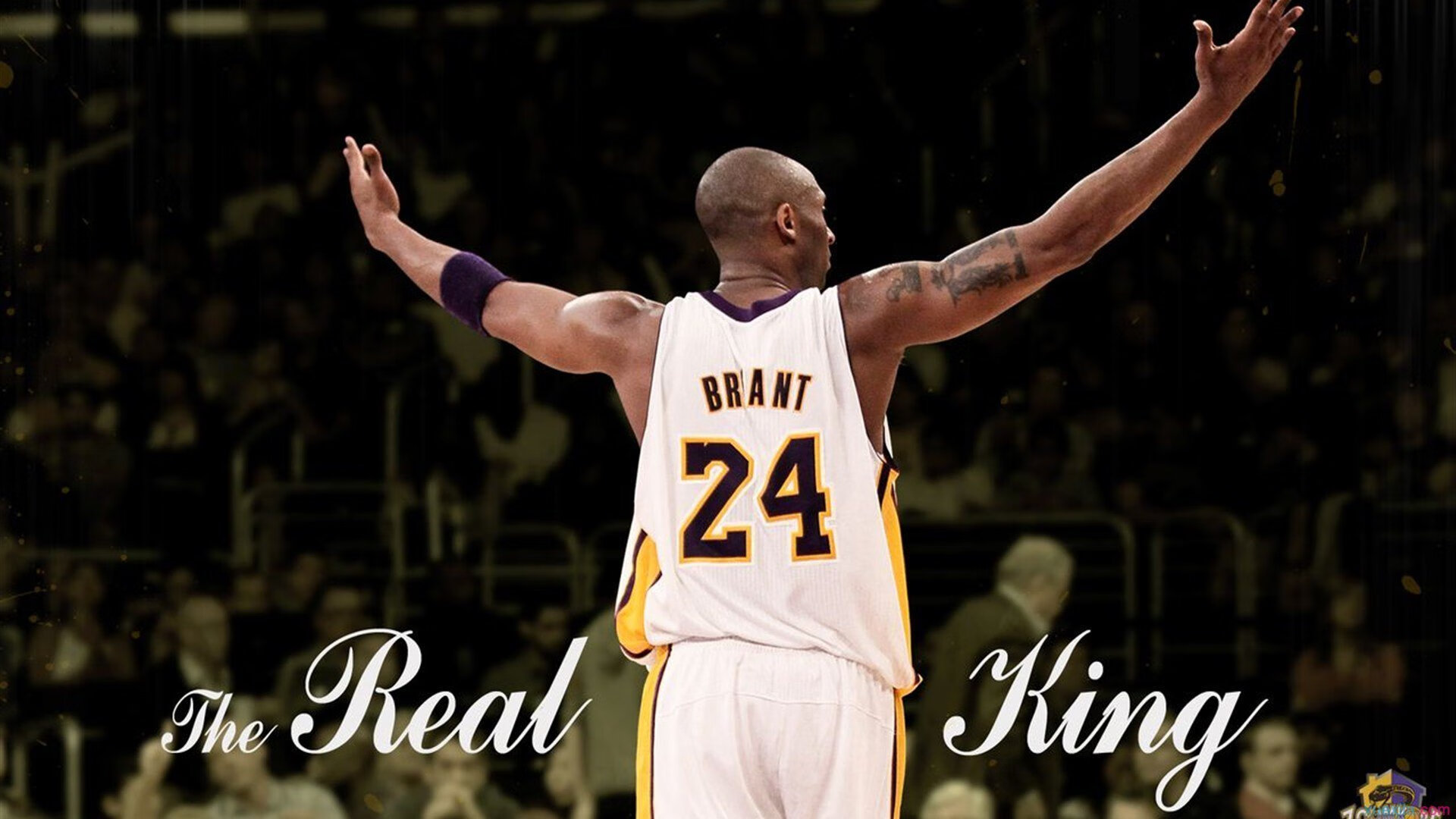 CBA新秀表现亮眼 被誉为未来核心，cba新秀盘点